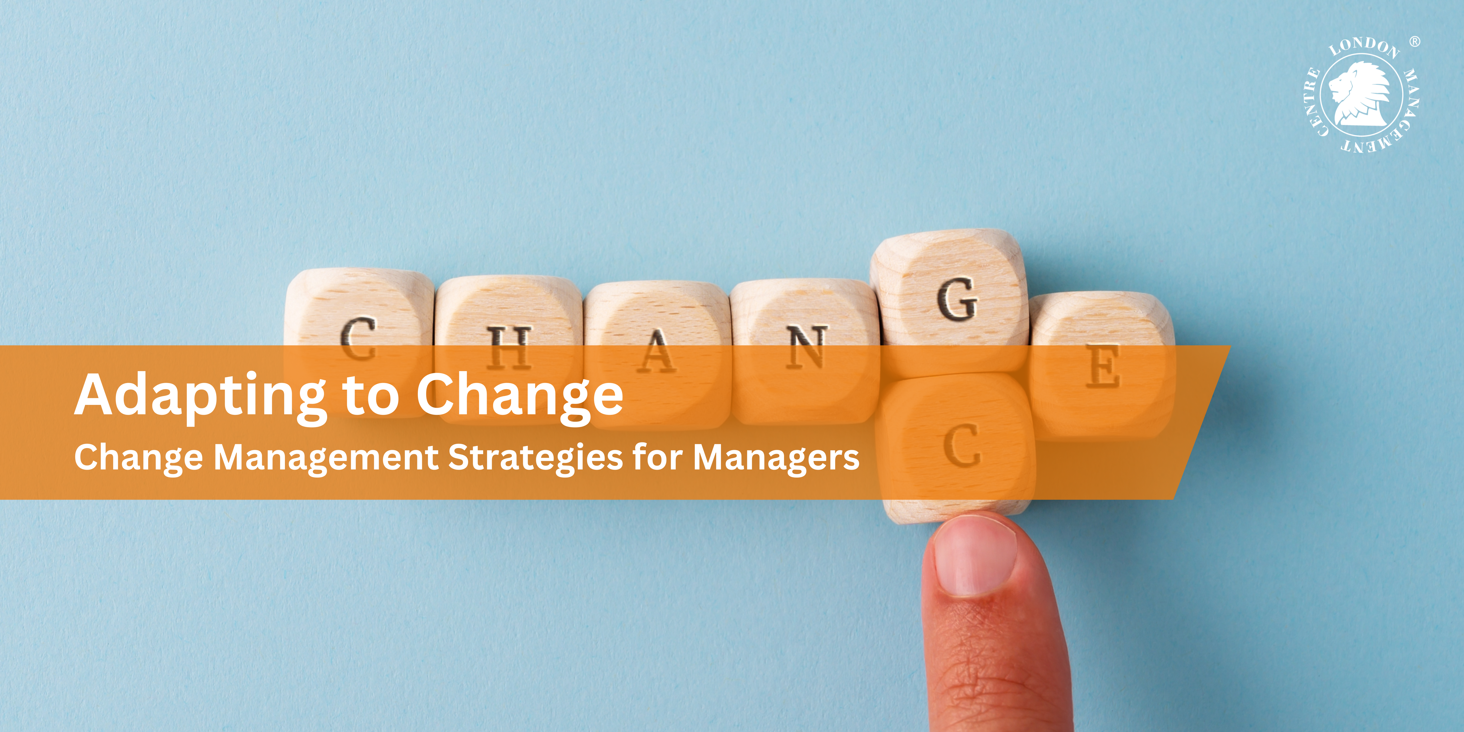 Adapting to Change: Change Management Strategies for Manager's